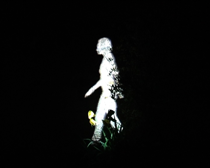 julia-dantonnet-2009-ombres-blanches-art-lumiere-video-01