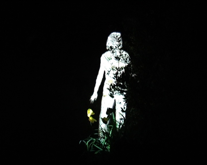 julia-dantonnet-2009-ombres-blanches-art-lumiere-video-04