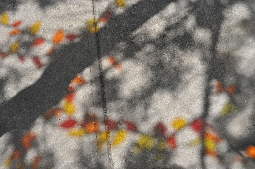 julia-dantonnet-2010-montreal-01