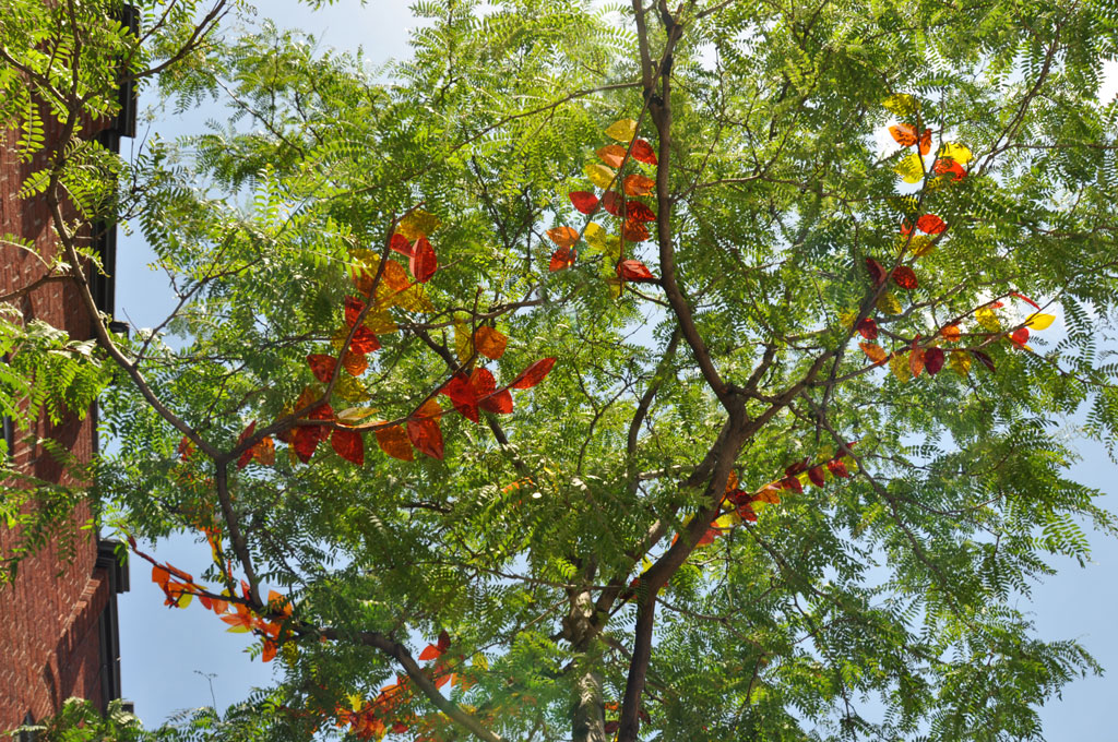 julia-dantonnet-2010-montreal-04