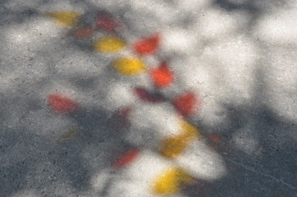 julia-dantonnet-2010-montreal-05