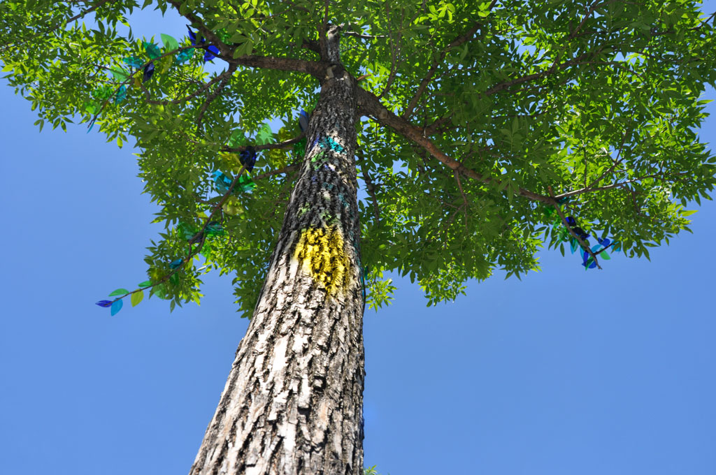 julia-dantonnet-2010-montreal-08
