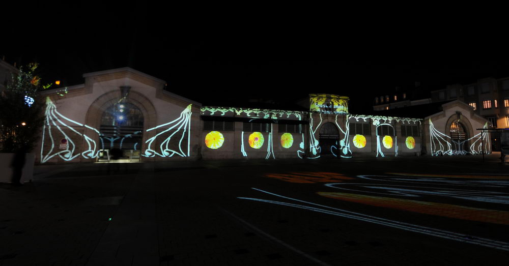 julia-dantonnet-2013-lumiere-video-nancy-saisons-charles-02