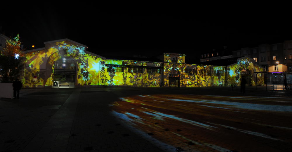 julia-dantonnet-2013-lumiere-video-nancy-saisons-charles-04