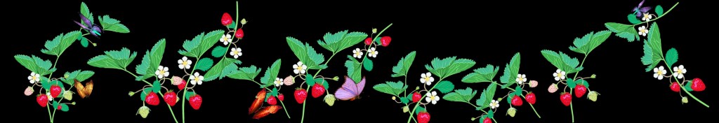 julia-dantonnet-2013-lumiere-video-nancy-saisons-charles-09