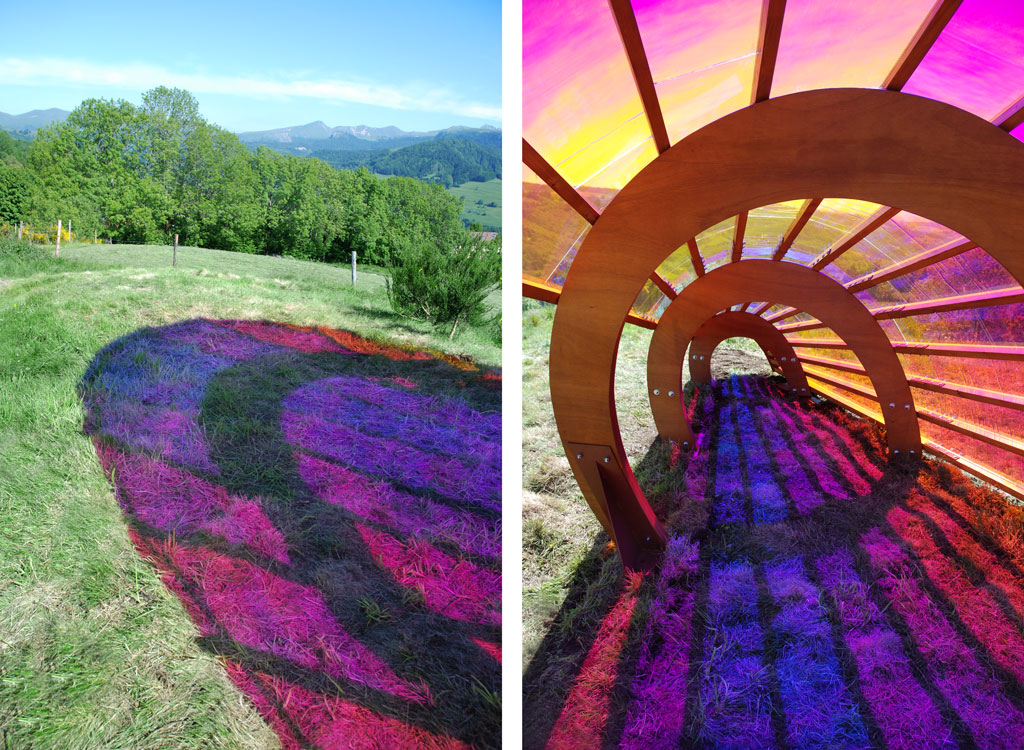 julia-dantonnet-2010-morpho-horizons-04