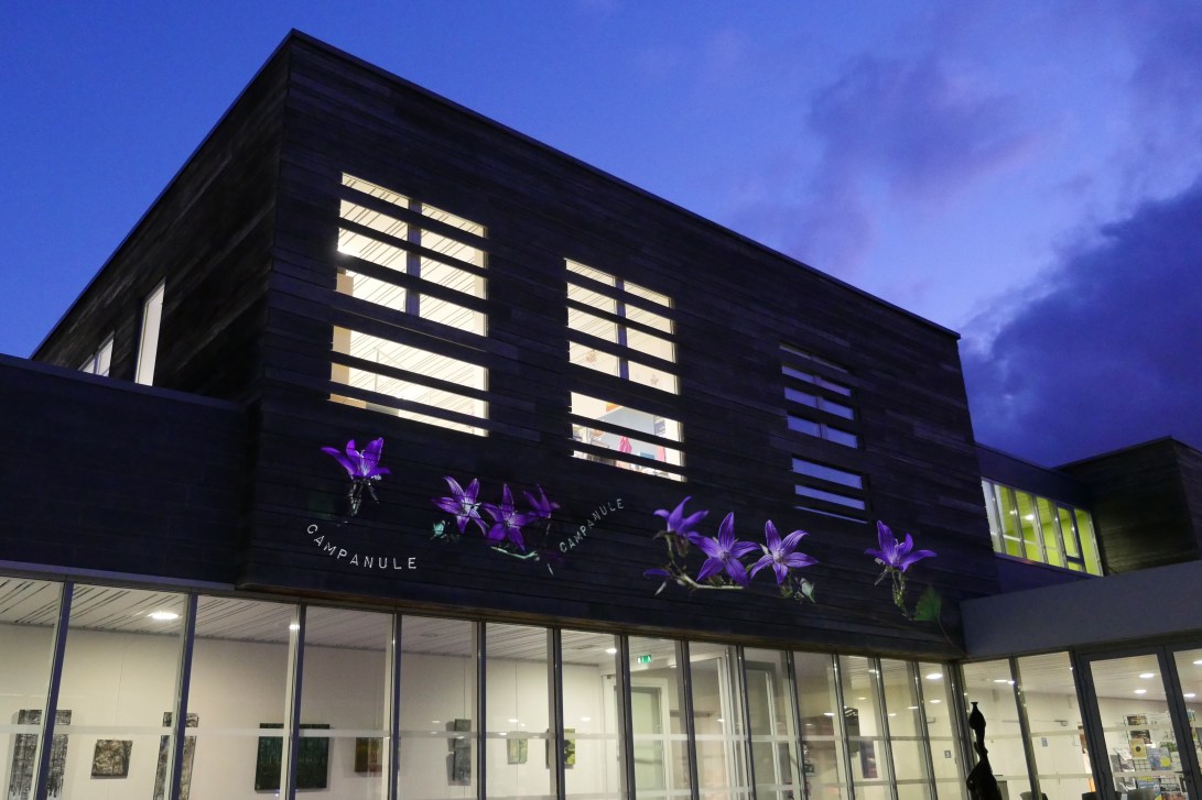 julia dantonnet ecole buissonniere sciencedelart creation lumiere video 1