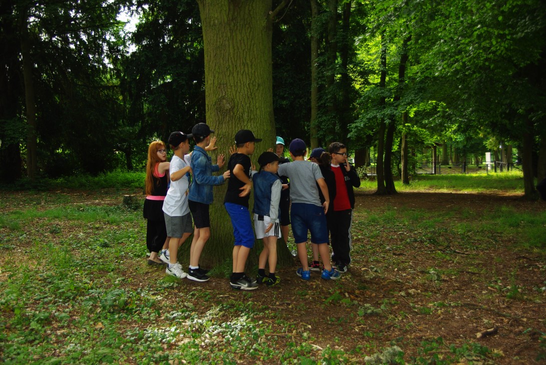 julia dantonnet ecole buissonniere sciencedelart2