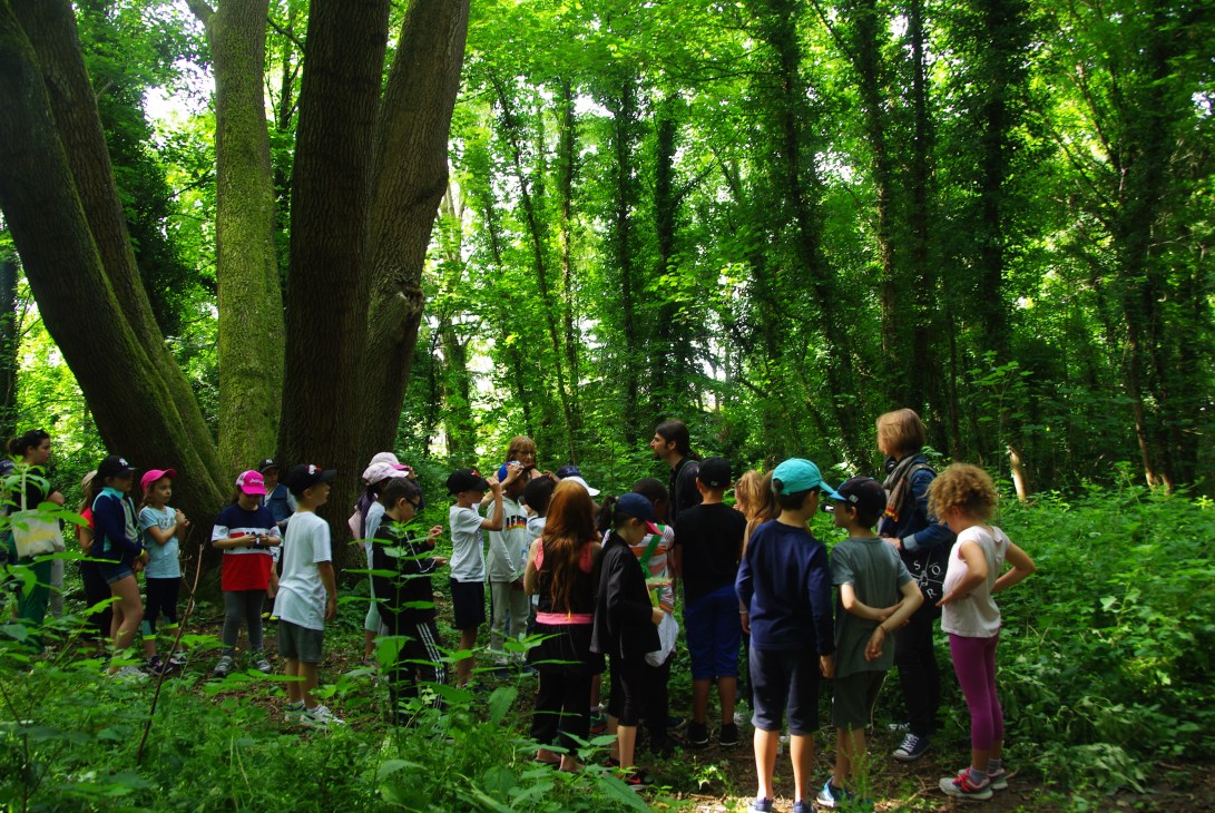 julia dantonnet ecole buissonniere sciencedelart4