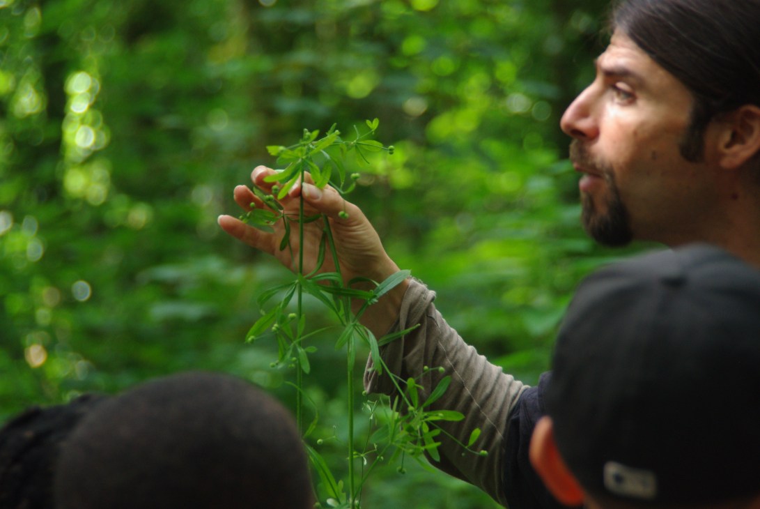 julia dantonnet ecole buissonniere sciencedelart5