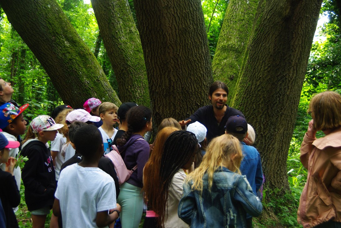 julia dantonnet ecole buissonniere sciencedelart6