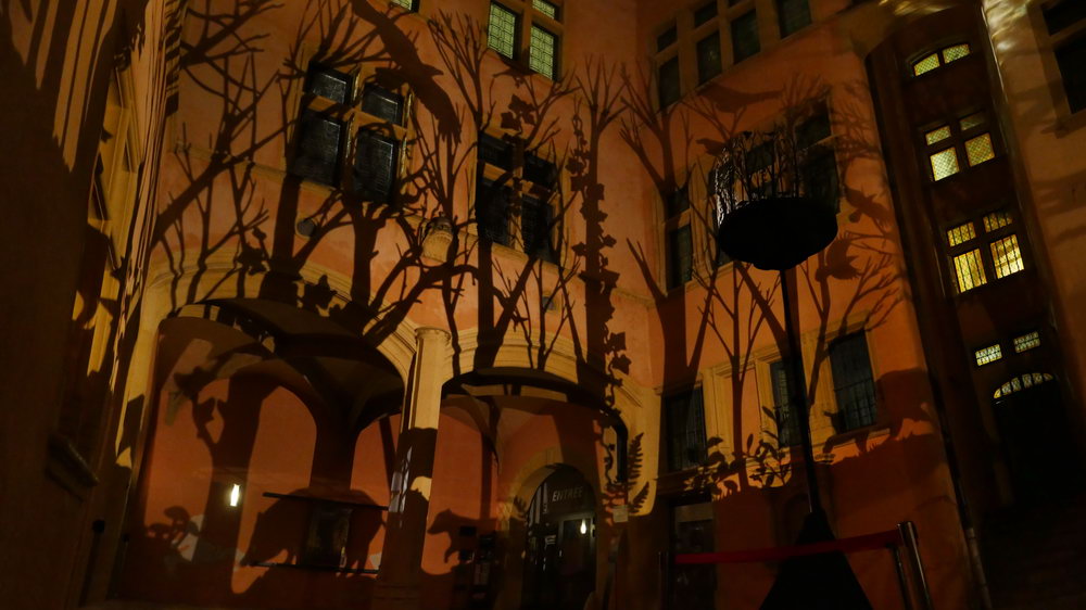 2019-fete-des-lumieres-lyon-nocturne07-julia-dantonnet