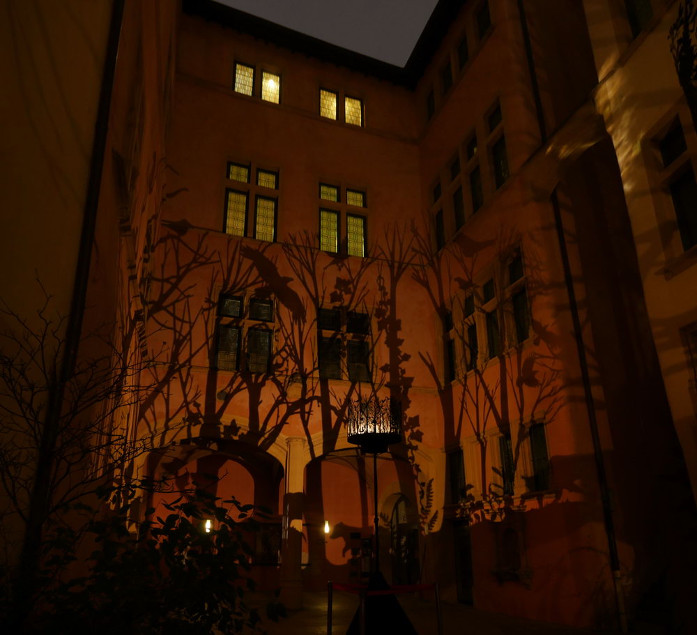 2019-fete-des-lumieres-lyon-nocturne12-julia-dantonnet