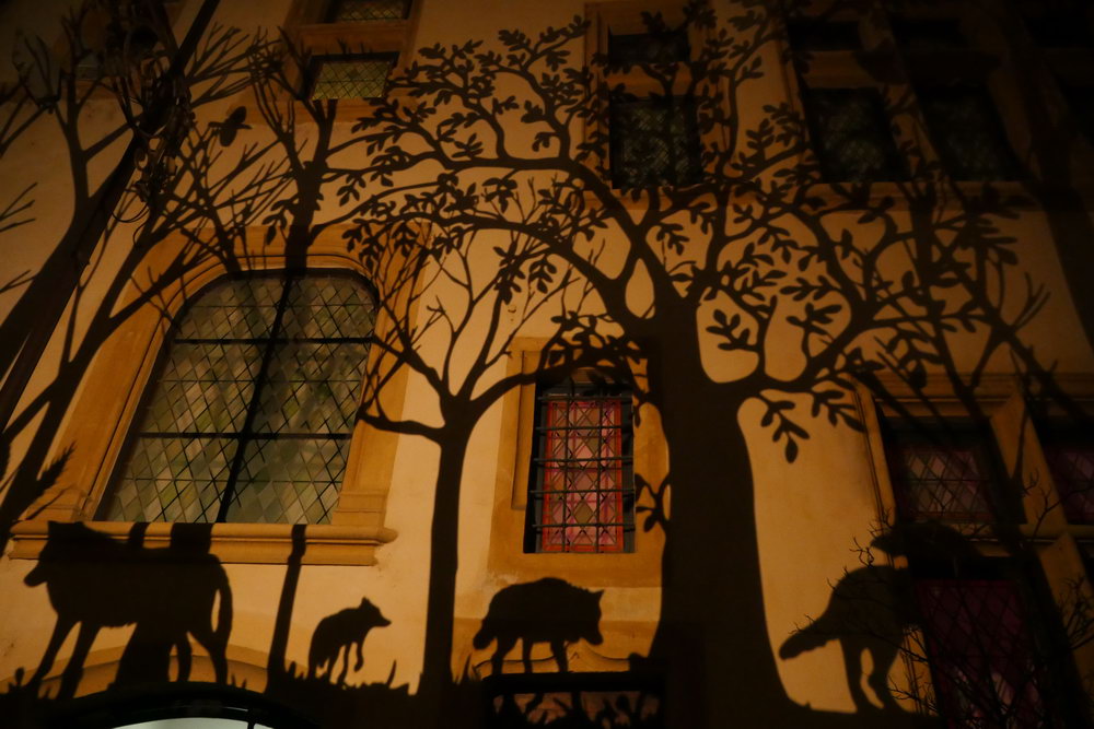 2019-fete-des-lumieres-lyon-nocturne18-julia-dantonnet