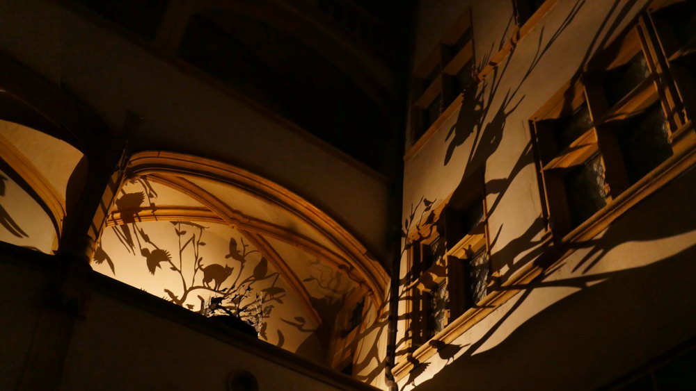 2019-fete-des-lumieres-lyon-nocturne21-julia-dantonnet